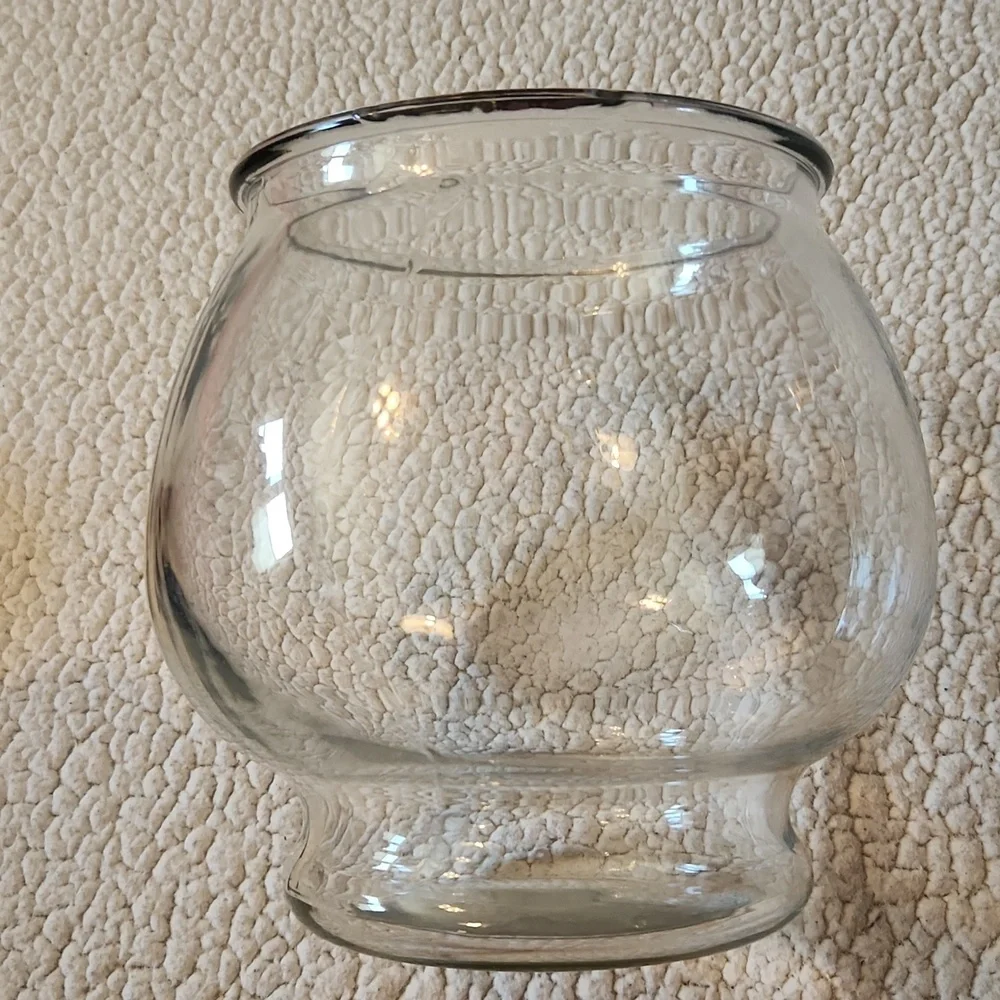 Vibrant Life Footed Glass Fish Bowl